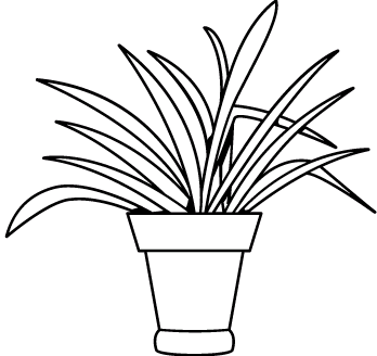 Plantas 3