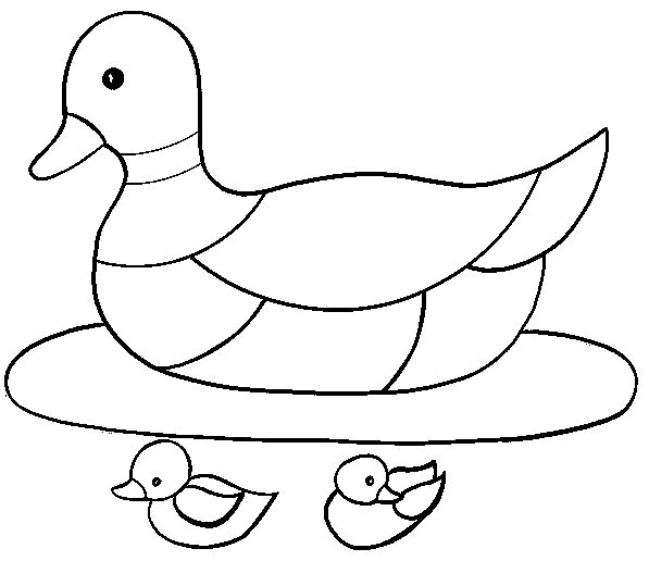 Patos 3