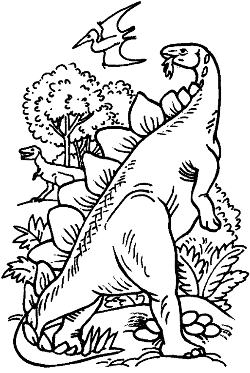 Dinossauros 13