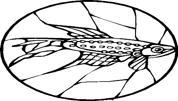 Peixes 65