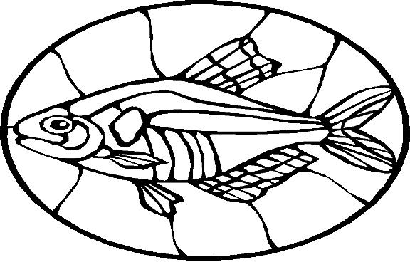 Peixes 66