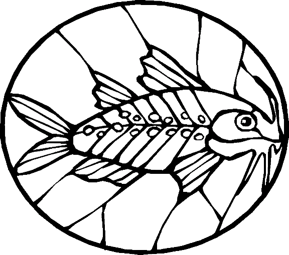 Peixes 68