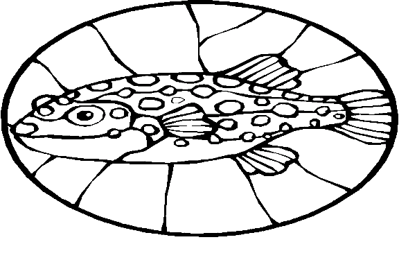 Peixes 70