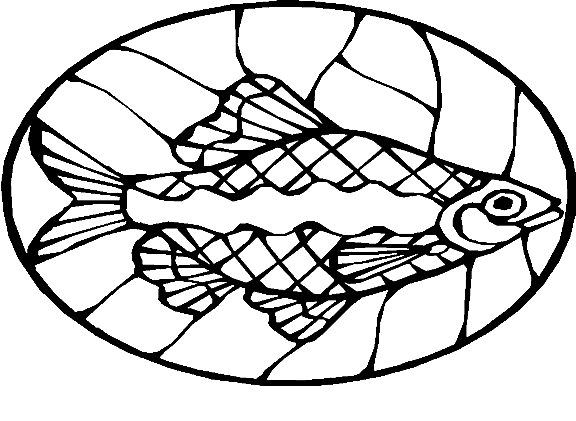 Peixes 71