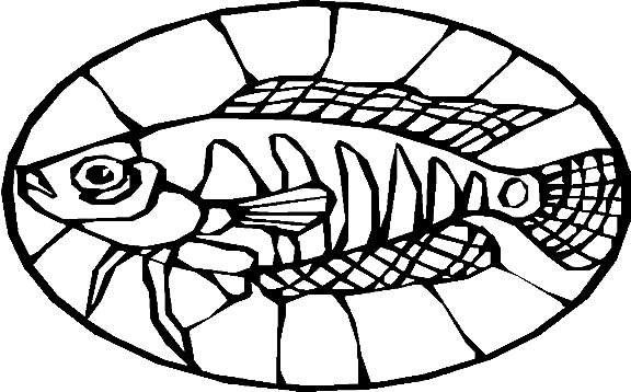Peixes 73