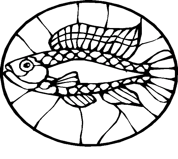 Peixes 74