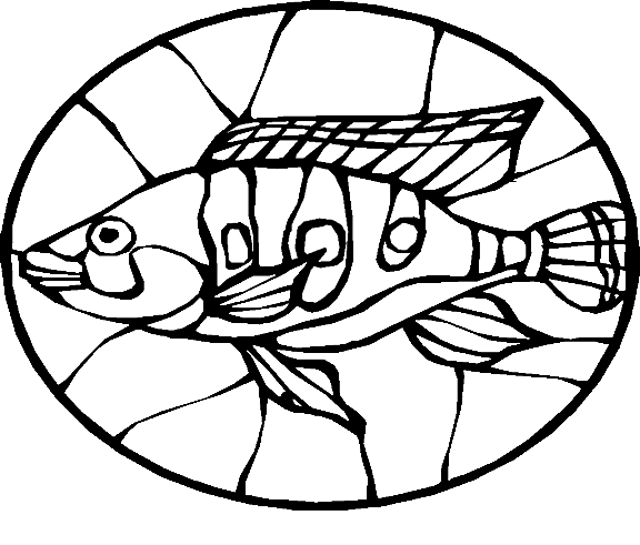 Peixes 77