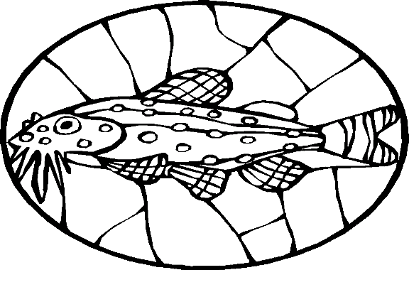 Peixes 78