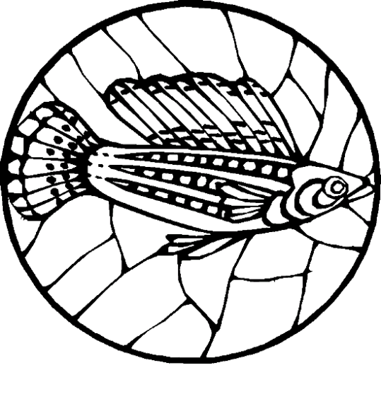 Peixes 82