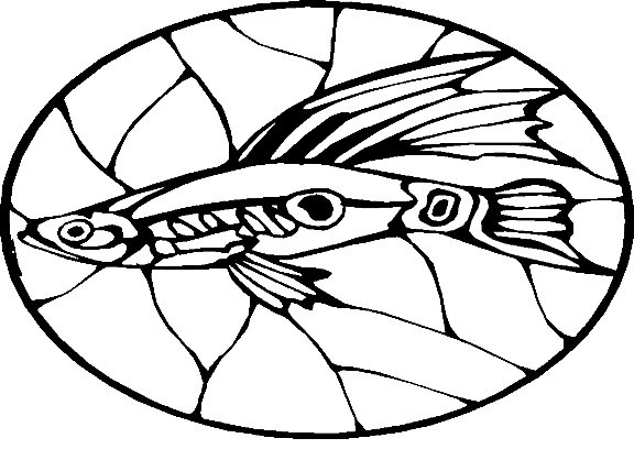 Peixes 84