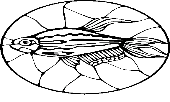Peixes 89