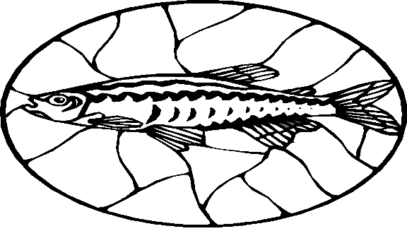 Peixes 90