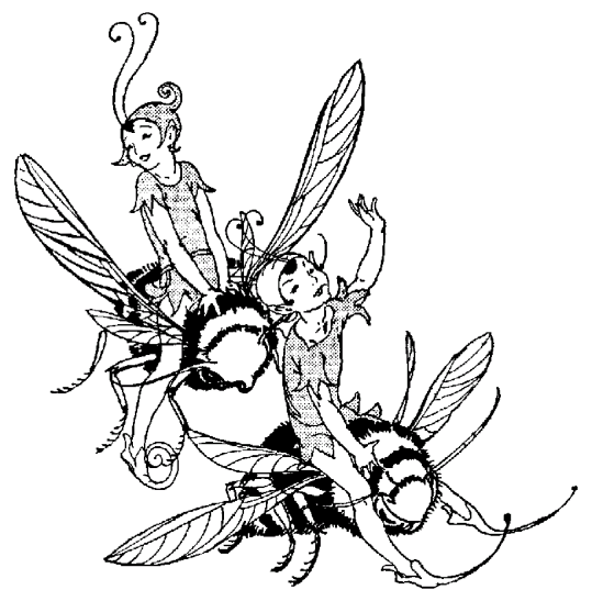 Elfos e Fadas 35