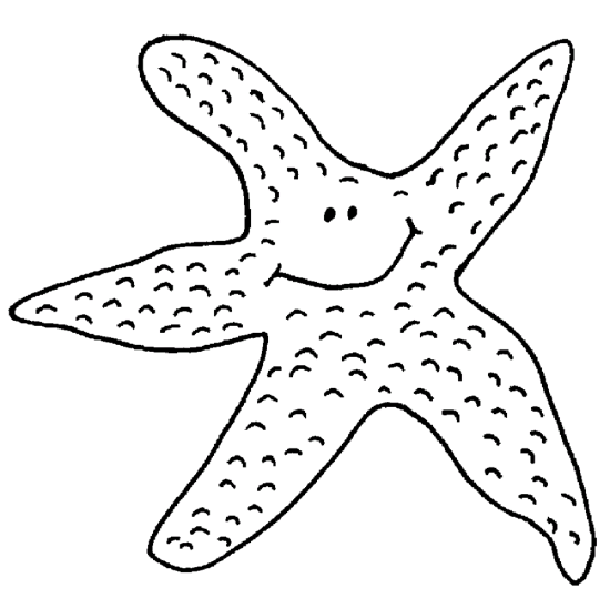 Estrelas-do-Mar 2