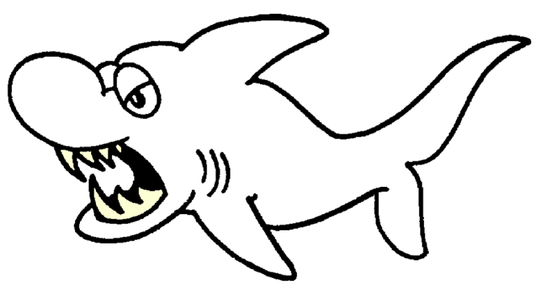 Tubarões e Raias 7