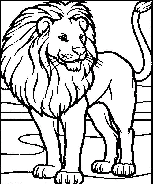 Leões 9