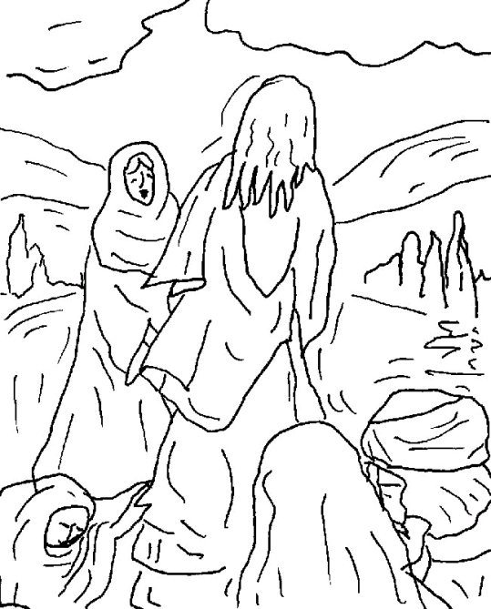 Novo Testamento 7