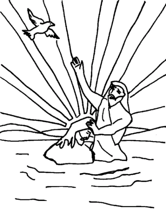 Novo Testamento 8