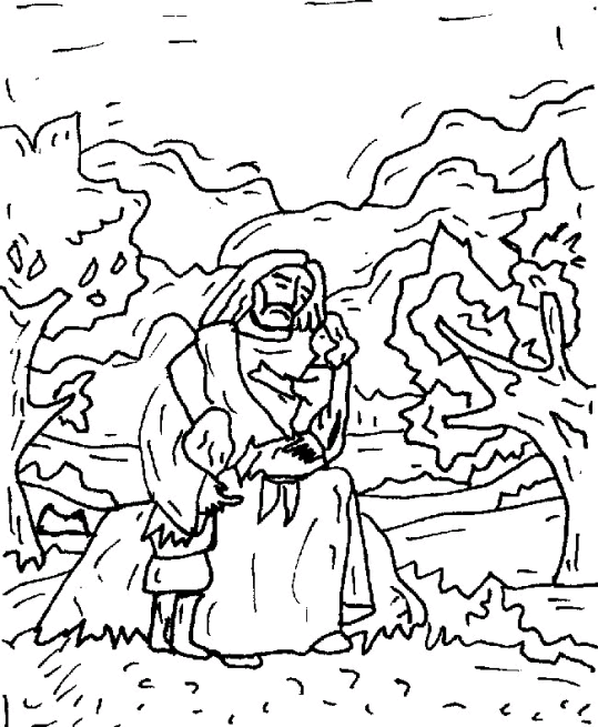 Novo Testamento 9