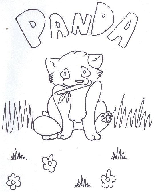 Panda-Vermelho 1
