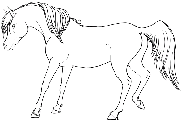 Cavalos-Marinhos 27