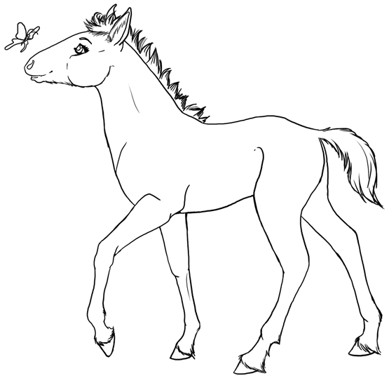 Cavalos-Marinhos 28