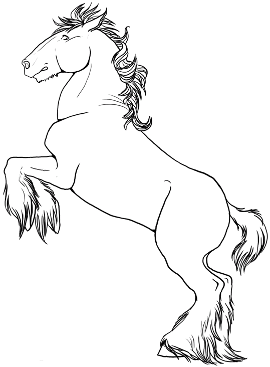 Cavalos-Marinhos 29