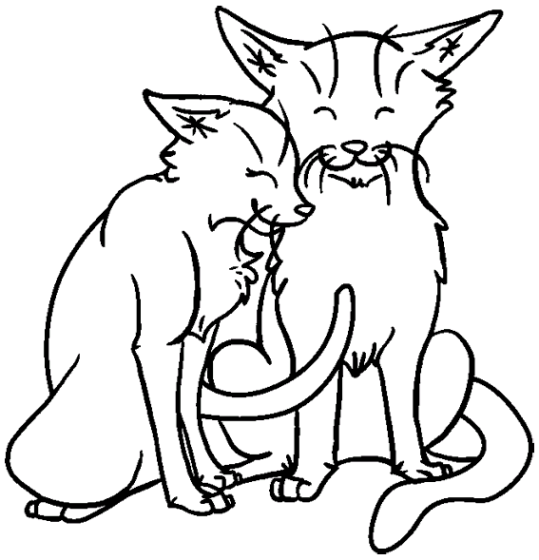 Gatos 58