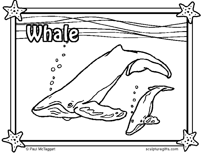 Baleias 3