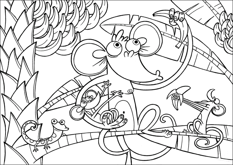 Macacos 31