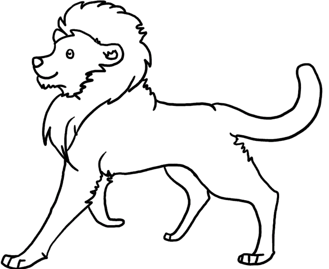 Leões 11