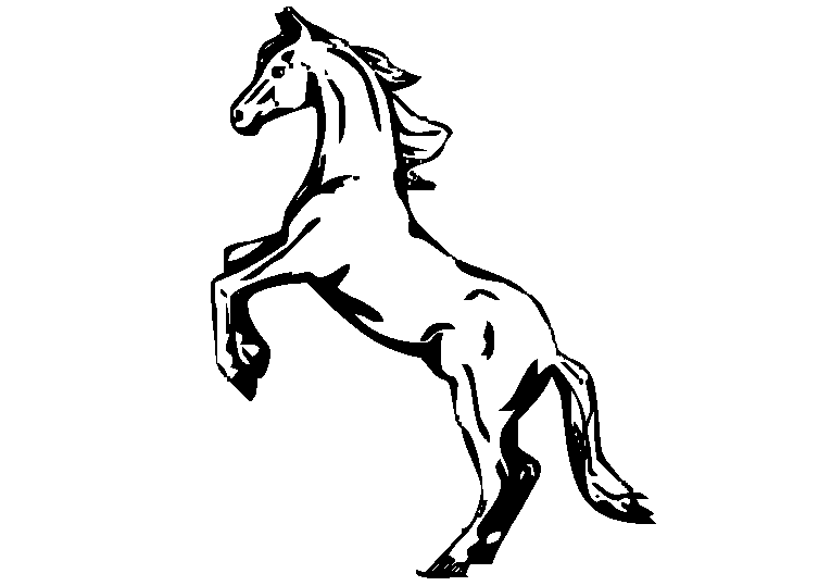 Cavalos-Marinhos 30
