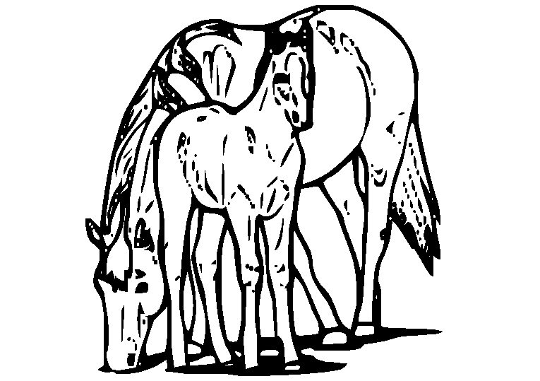 Cavalos-Marinhos 31
