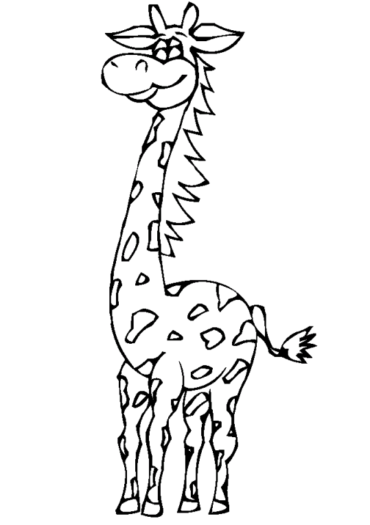 Girafas 8