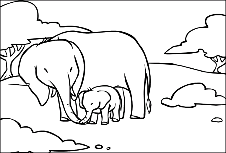 Elefantes 10
