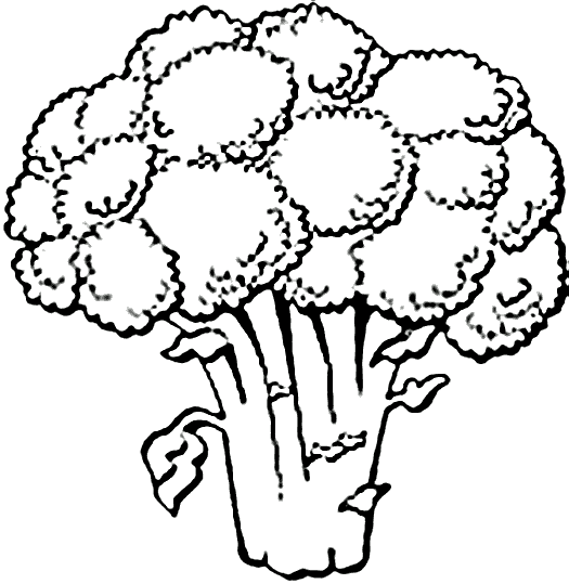 Vegetais 8