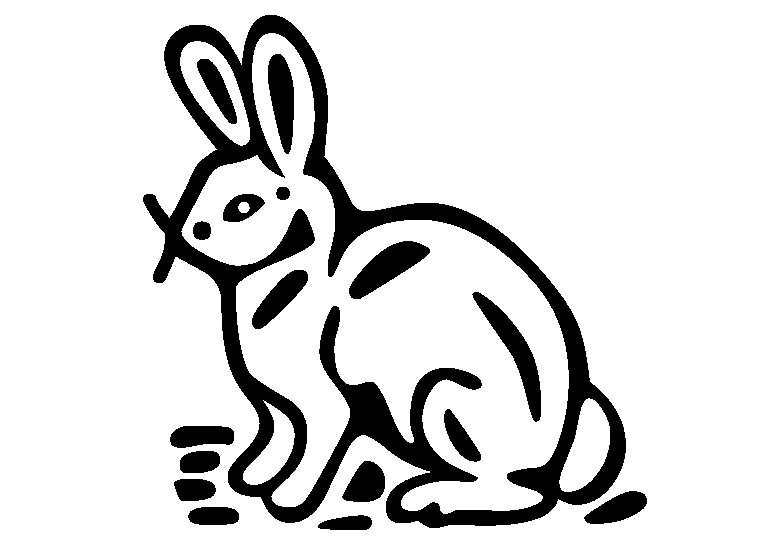 Coelhos 9