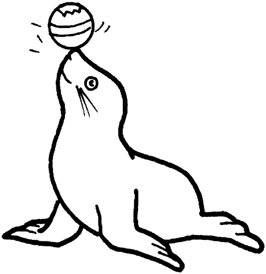 Focas 2