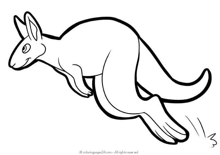 Cangurus 3