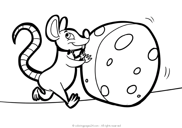 Camundongos e Ratos 8