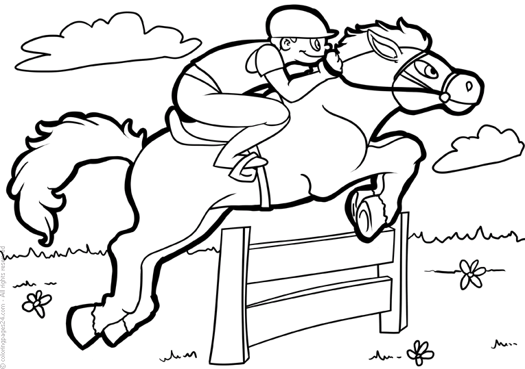Corrida de Cavalos 7