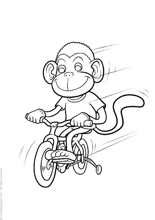 Macacos 34