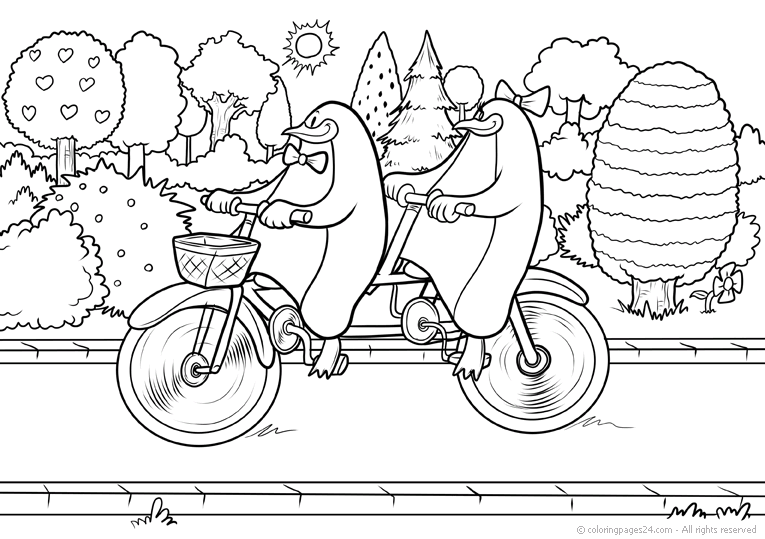 Ciclismo 11