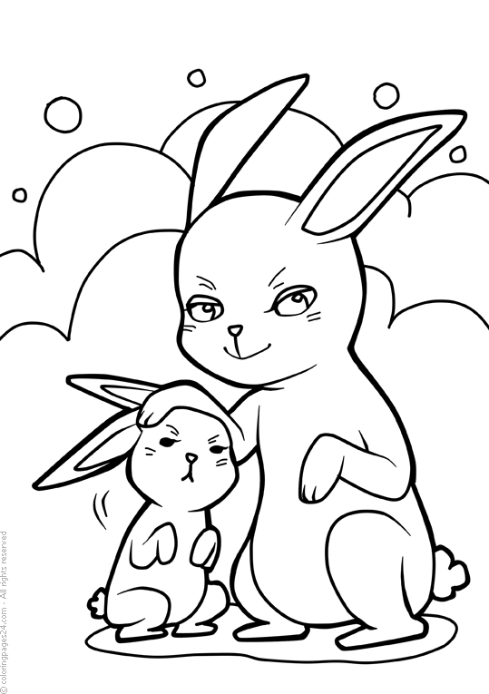 Coelhos 16