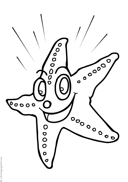 Estrelas-do-Mar 7