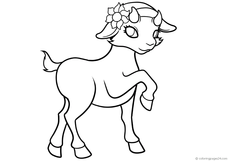 Cabras 9