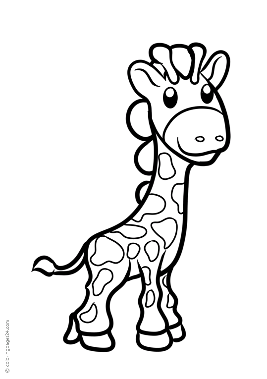 Girafas 18