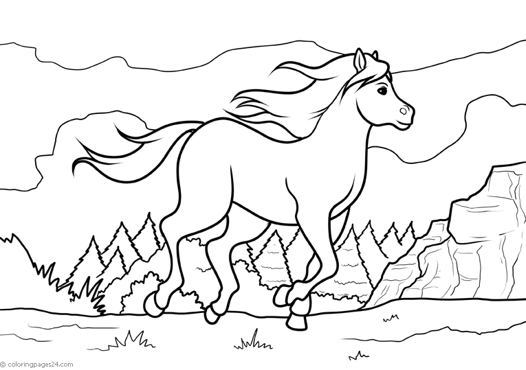 Cavalos-Marinhos 64