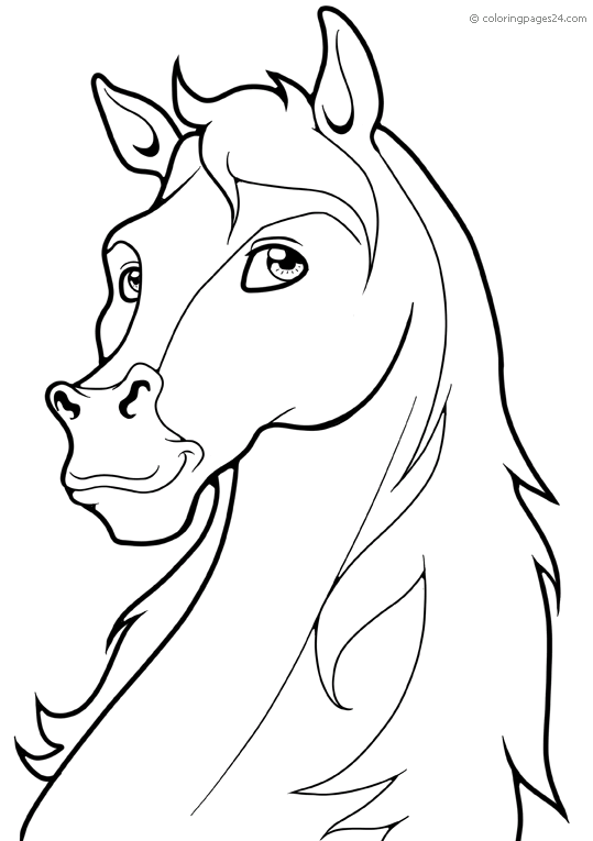 Cabeça de Cavalo: Desenhos para Imprimir e Colorir!