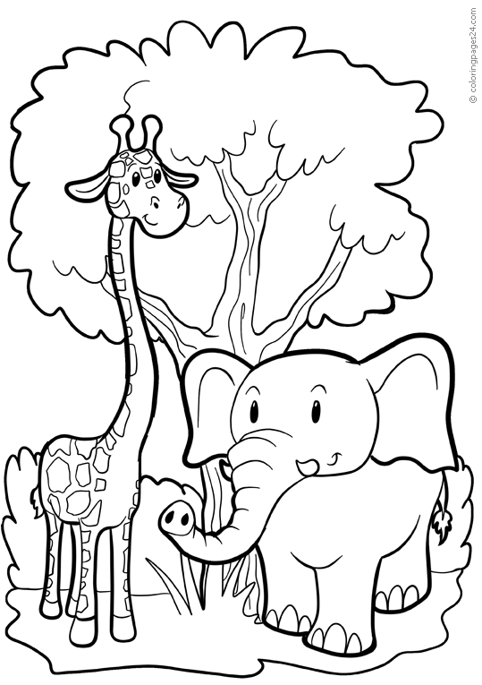 Elefantes 22